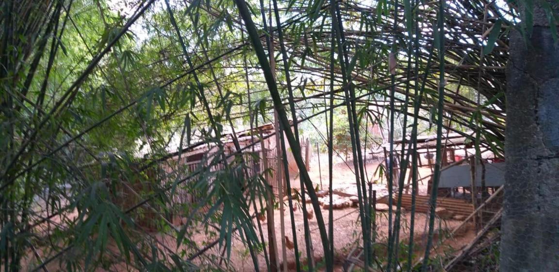 Pousada Sirius São Roque de Minas 외부 사진